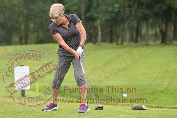 Lady Presidents Day at Enniskillen Golf Club-4