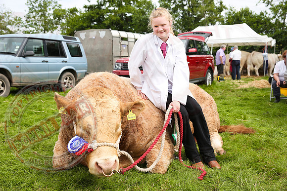 Fermanagh County Show