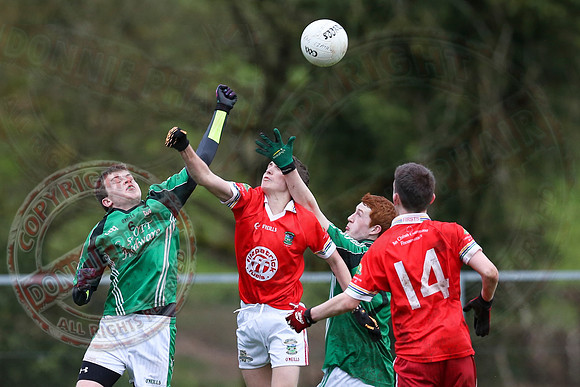 Newtownbutler First Fermanagh's (2-08) V Roslea (2-7) in Minor GAA League Division Three Final