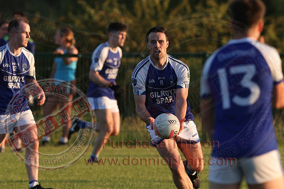 Newtownbutler (0-06) V Devenish (3-12)  in Club Players Competition 2A-10