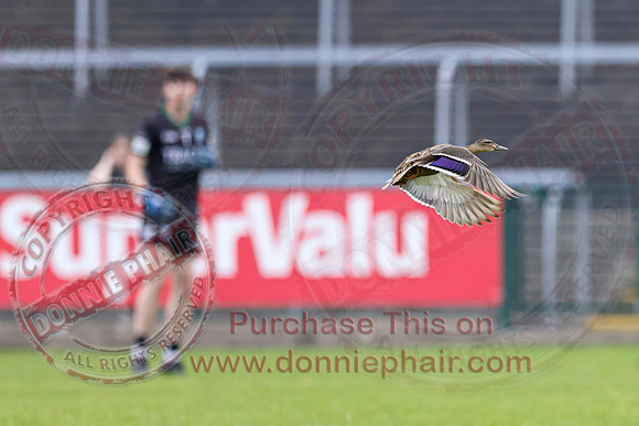 Fermanagh (1-09) V Laois (1-11) in Tailteann Cup Preliminary Quarter Final-76