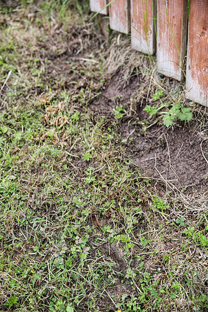 Water Leak in Garden - 10/06/13