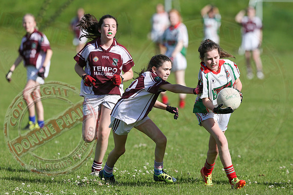 Lisnaskea Emmetts V Tempo in U13 Girls Final  130803  1