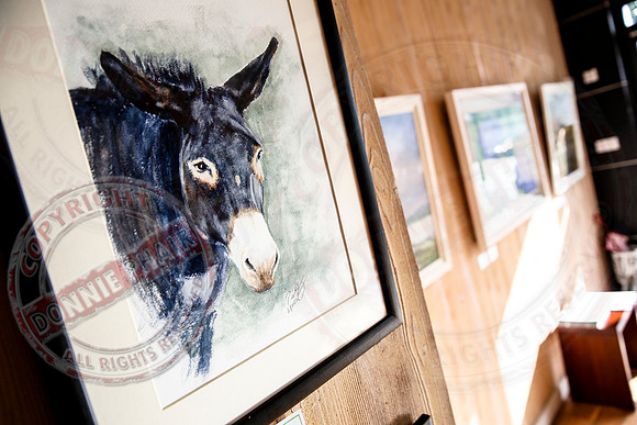 ArtByNorthWest in Devenish Gallery.
