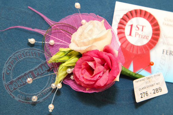 Fermanagh County Show