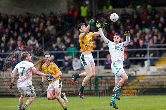 Fermanagh (0-10) V Meath (0-6) in Allianz Divison 2 Football League, Round 2.