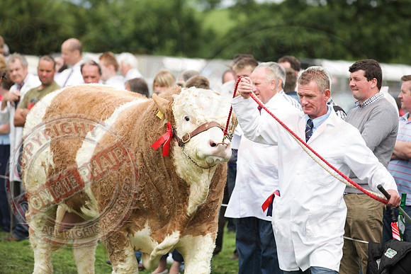 Fermanagh County Show