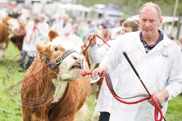 Fermanagh County Show