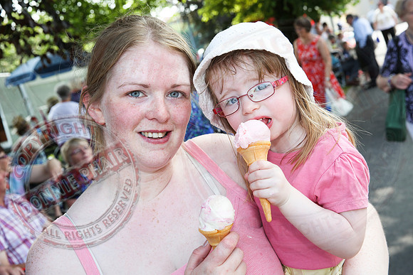 The Twelfth in Ballinamallard