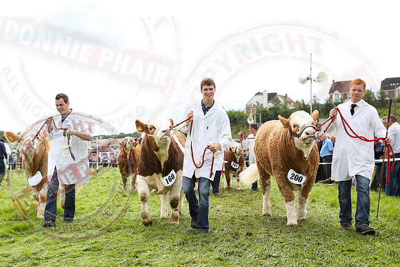 Fermanagh County Show