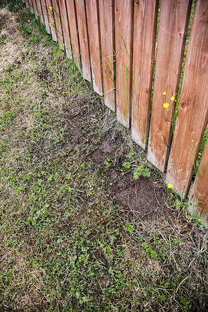 Water Leak in Garden - 10/06/13