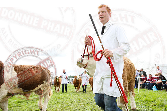 Fermanagh County Show