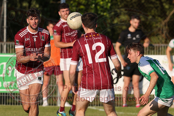 Roslea (1-08) V Tempo (0-08) in Club Players Competition 2B-11