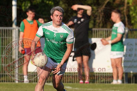 Roslea (1-08) V Tempo (0-08) in Club Players Competition 2B-9