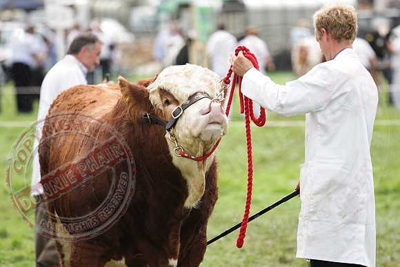 Fermanagh County Show