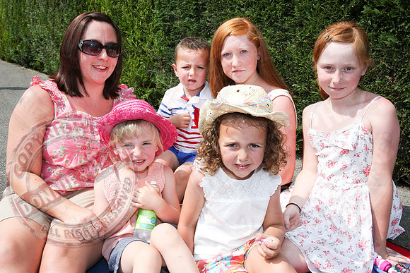 The Twelfth in Ballinamallard