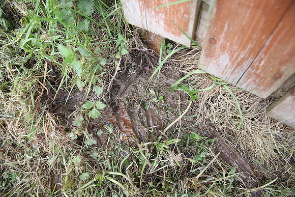 Water Leak in Garden - 07/05/13