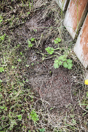 Water Leak in Garden - 10/06/13