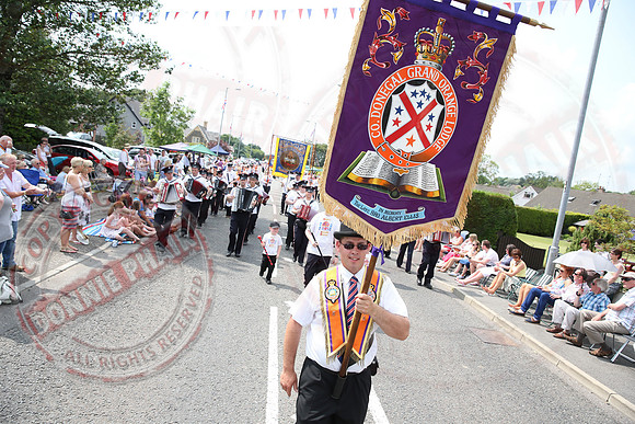 The Twelfth in Ballinamallard