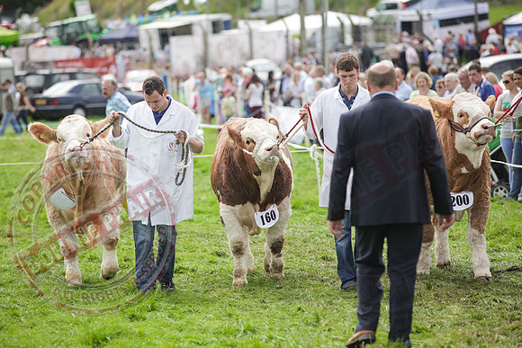 Fermanagh County Show