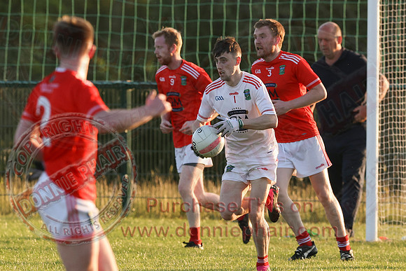 Newtownbutler (0-06) V Devenish (3-12)  in Club Players Competition 2A-5