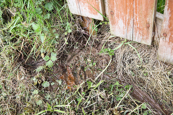 Water Leak in Garden - 07/05/13