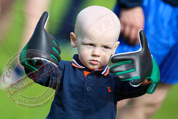 Seven's for Sam Tournament - Together For Sam.