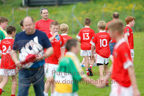 Newtownbutler (3-15) V Derrylin (2-6) in GAA Football U14 Division 2 Final.