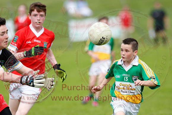 Newtownbutler (3-15) V Derrylin (2-6) in GAA Football U14 Division 2 Final.