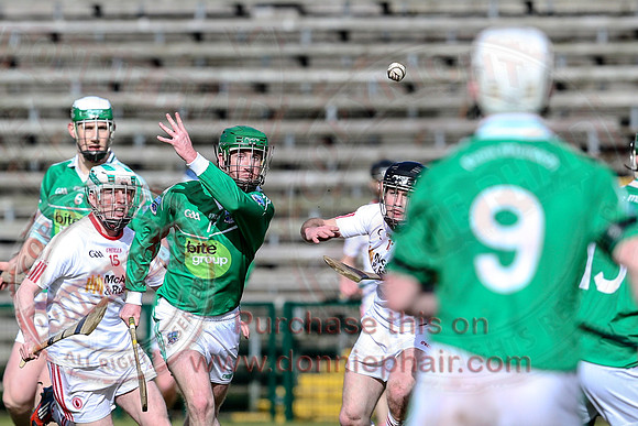 Fermanagh (2-8) V Tyrone (4-13) in Allianz Hurling League Division 3A