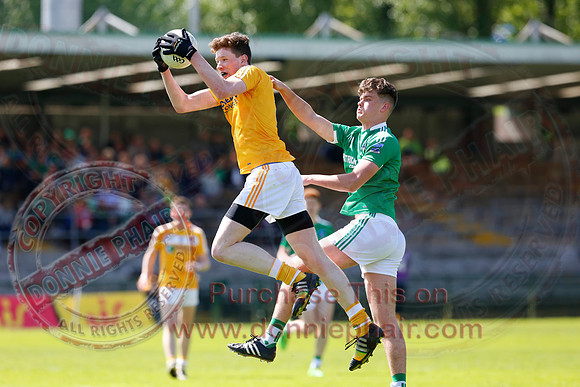 Fermanagh (2-9) V Antrim (4-10) in Ulster Minor GAA Football Championship First Round.
