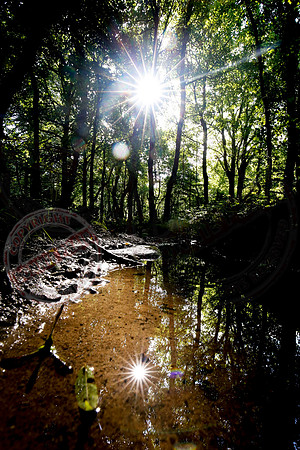 Views in Cladagh Glen, Co. Fermanagh.