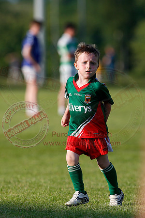 Teemore (3-15) V Devenish (2-9) in Minor GAA Football League Divison 4.