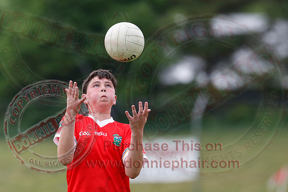 Newtownbutler (3-15) V Derrylin (2-6) in GAA Football U14 Division 2 Final.