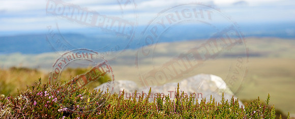 Cuilcagh Mountain.