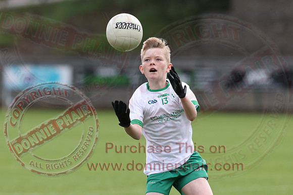 Ederney V Craigbane in Féile Peile na nÓg GAA Football Tournament-6