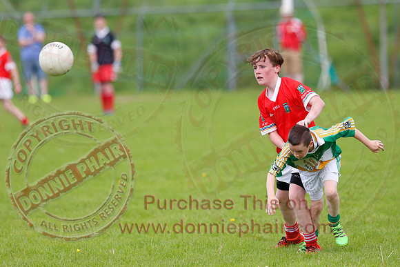 Newtownbutler (3-15) V Derrylin (2-6) in GAA Football U14 Division 2 Final.
