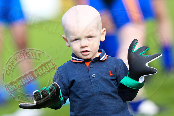 Seven's for Sam Tournament - Together For Sam.