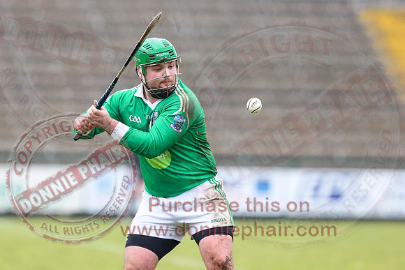 Fermanagh (1-16) V Fingal (3-13) in National Hurling League Division 3A