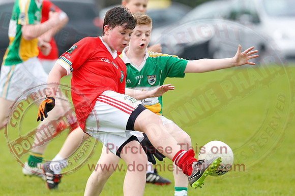 Newtownbutler (3-15) V Derrylin (2-6) in GAA Football U14 Division 2 Final.