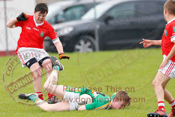 Newtownbutler (3-15) V Derrylin (2-6) in GAA Football U14 Division 2 Final.