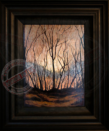 Claire Falconer Art in Portora