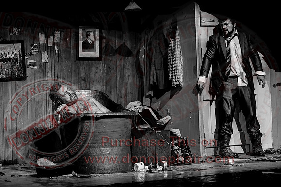 The Quare Land by John McManus in the Ardhowen Theatre.