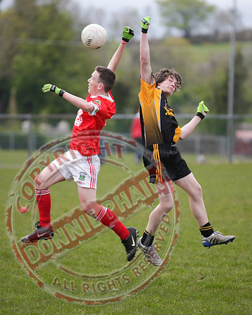 Newtownbutler V Coa in Minor GAA Division 5 Final held in Brookeborough.