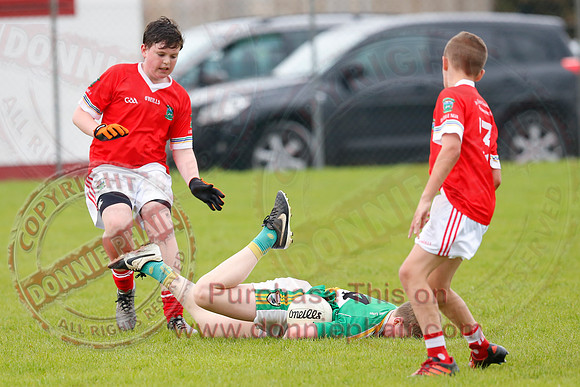 Newtownbutler (3-15) V Derrylin (2-6) in GAA Football U14 Division 2 Final.