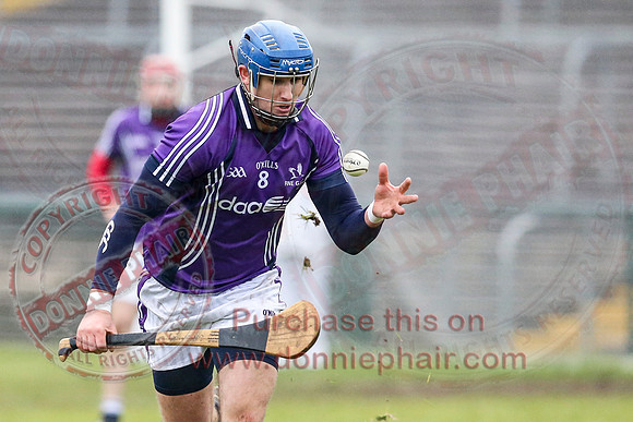 Fermanagh (1-16) V Fingal (3-13) in National Hurling League Division 3A