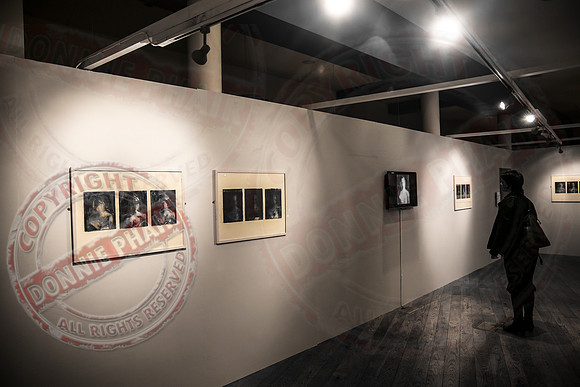 Joe Forkan Artwork Exhibition in Higher Bridges Gallery, Enniskillen.