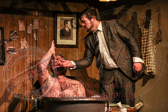 The Quare Land by John McManus in the Ardhowen Theatre.