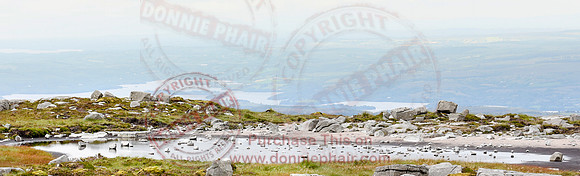 Cuilcagh Mountain.