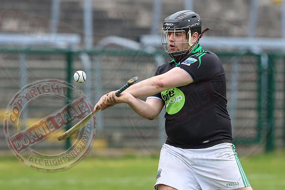 Fermanagh (0-10) V Roscommon (4-20) in National Hurling League Division 3A